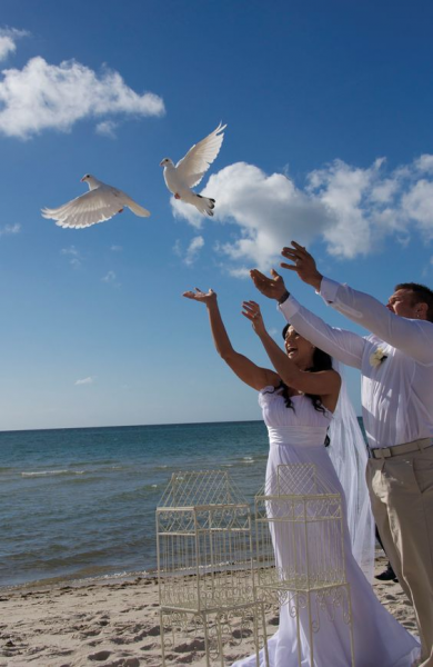 Releasing White Doves